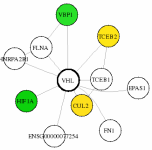 view graph image