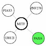 view graph image
