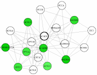 view graph image