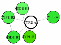 view graph image