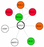 view graph image