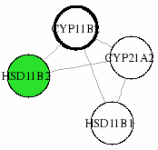 view graph image