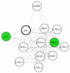 view graph image