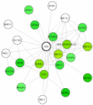 view graph image