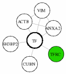 view graph image