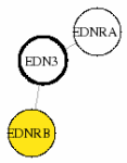view graph image