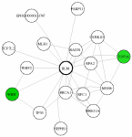 view graph image