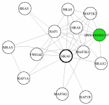 view graph image
