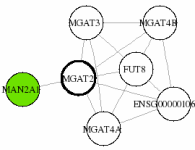 view graph image