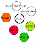 view graph image