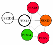 view graph image