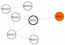 view graph image