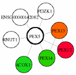 view graph image