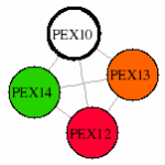 view graph image
