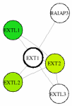 view graph image
