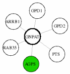view graph image