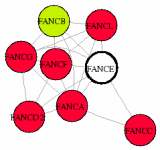 view graph image