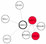 view graph image