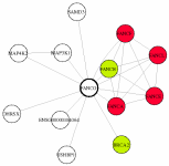 view graph image