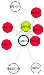 view graph image