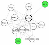 view graph image