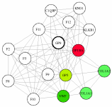 view graph image