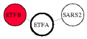 view graph image