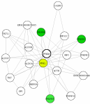 view graph image