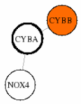 view graph image