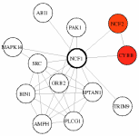 view graph image