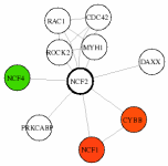 view graph image