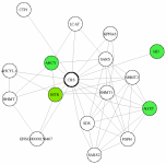 view graph image