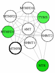 view graph image
