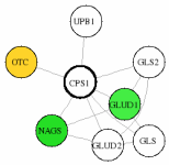 view graph image