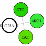 view graph image