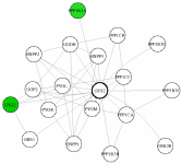 view graph image