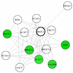 view graph image