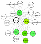 view graph image