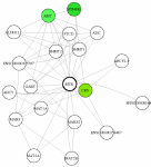 view graph image