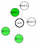 view graph image