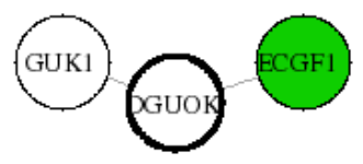 view graph image