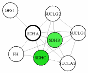 view graph image