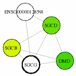 view graph image