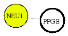 view graph image