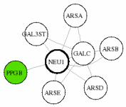 view graph image