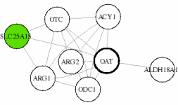 view graph image