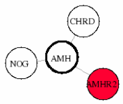 view graph image