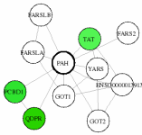 view graph image