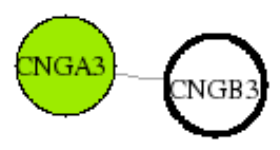 view graph image