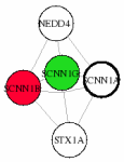 view graph image
